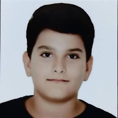 محمد علی سلمانی