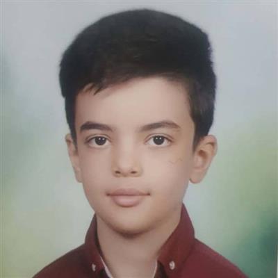 امیر حسین محمدی گلبرنجی